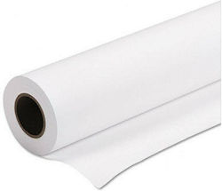 Exas Paper Χαρτί Ρολό 500mm x 120m 80gr/m²