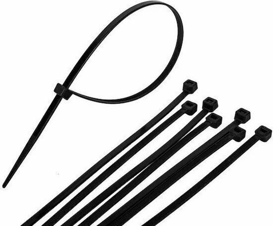 SAS Δεματικά Καλωδίων Πλαστικά 160mmx2.5mm σε Μαύρο χρώμα (100τμχ) (AK-KO-104)