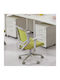 Schublade Büro mit Rollen & Schloss 44x40x60cm