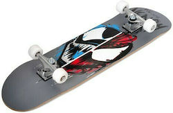 Seven Venom 5.9" Complete Shortboard Πολύχρωμο Seven Venom 5.9" Complete Shortboard Πολύχρωμο
