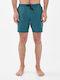 Men's Swimwear Shorts Green