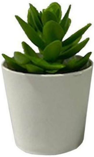 Artificial Potted Plant TnS Artificial Potted Plant TnS