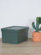 Viomes Nova Plastic Storage box with Cap Κυπαρισσί 28x18.5x13.5cm 1pcs