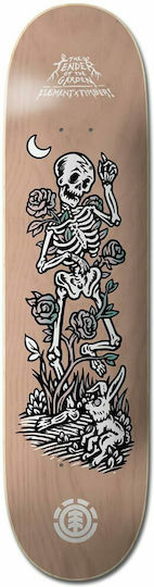 Element Timber Garden Skeleton 8" Placa Placă scurtă Bej