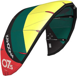 BEST Men Best Kahoona V6 Kitesurfing Kite - GREEN/YELLOW - BEKA14135