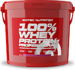 Scitec Nutrition 100% Whey Professional with Added Amino Acids Proteină din Zer Fără gluten cu Aromă de Căpșuni White Choco 5kg