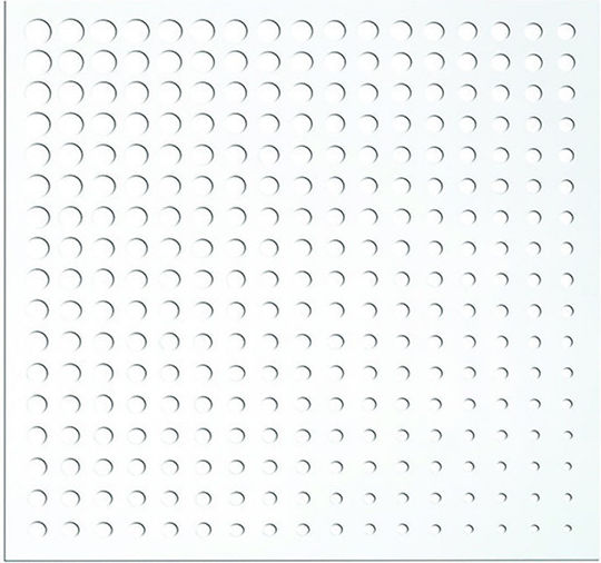 Moon Moon