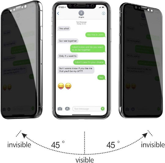 Privatsphäre Vollflächig gehärtetes Glas (iPhone 13 Mini) 34.309.1147