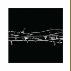 Amenra De Doorn 2xLP Χρυσό Βινύλιο