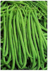 Climbing bean Vitalis | 5 kg