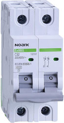 Noark 2-Poles Automatic Circuit Breaker 25A 102156