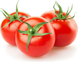 Bejo Evelina F1 Seeds Tomatoς 1000pcs