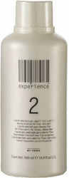Professional by Fama Λοσιόν Περμανάντ Experience No2 500ml Professional by Fama Λοσιόν Περμανάντ Experience No2 500ml