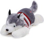 Plush Dog Χάσκυ 60 cm