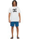 Late Daze 18'' Sportliche Herrenshorts Türkis