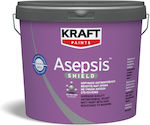 Kraft Asepsis Shield Plastic Vopsea pentru Utilizare Intern 3lt