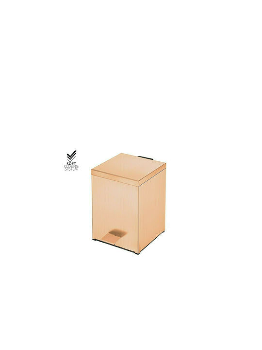 Sanco Inox Perie pentru coșul de gunoi din baie Închidere lentă 5lt Rose Gold 24k Brushed