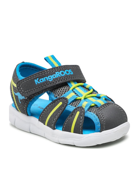 Kangaroos