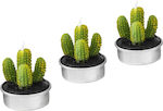 CHERRIES RESO CACTI 3 PCS