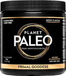 Planet Paleo Primal Goddess 210gr Berry