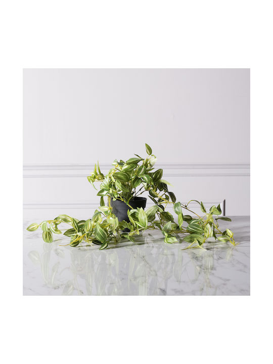 Πόθος σε Γλάστρα 72cm Supergreens