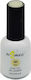 Angelacq Halb-permanenter Nagellack 141 Milan 15ml 1Stück