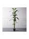 Artificial Outdoor Tree Bird of Paradise Green 190cm Supergreens