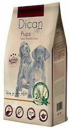 Dibaq Dican Up Pups 14kg Dibaq Dican Up Pups 14kg