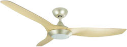 Lineme Borasco 02-00184 Deckenventilator 106cm mit Licht und Fernbedienung Gold