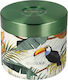 Quokka Tropical Lunchbox Isolierte Lunchbox Inox Grün 600ml 1Stück