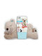 All For Paws Little Buddy Warm Bear Plush Toy for Puppy Small 38εκ. 1pcs