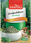 Anatoli Rosemary in Sachet 10gr