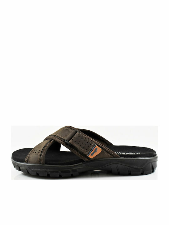 Wrangler