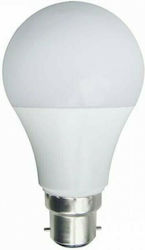 Eurolamp LED 6W B22 Θερμό Λευκό