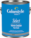 Colorstyle Paint 515 Select Plastic Vopsea pentru Utilizare Intern 3lt