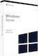 Microsoft Windows Server 2022 RDS Device CALs Add-on Mehrsprachig σε Ηλεκτρονική άδεια