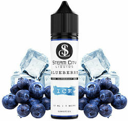 Steam City Flavor Shot Blueberry Ice 12ml/60ml