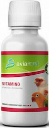 Avianvet Vitamino Multivitamins for Birds 100ml