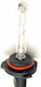 3GSound Lamps Car HB3 Xenon 6000K Cold White 12V 35W 1pcs