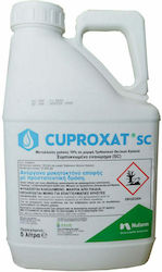 Nufarm Cuproxat 19 SC Fungizid in Emulsion 3lt Nufarm Cuproxat 19 SC Fungizid in Emulsion 3lt
