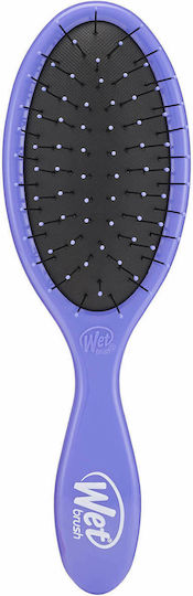 Wet Brush Thick Hair Pro Detangler Brush Hair for Detangling Lilac