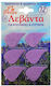 Lavender for Moth 12pcs