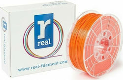 Real Filament PLA 3D Printer Filament 1.75mm Neutral 1kg