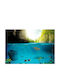 Autocolantă Fototapet de Perete 147x105cm Under The Waterline