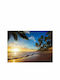 Fototapet de Perete 350x245cm Tropical Beach Tesatura