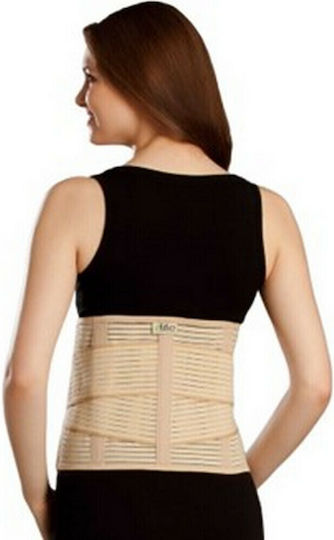 E-Life Bracing Elastic Belt Waist with Stays in Beige color E-WA110