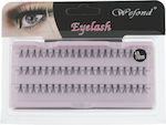 Assim Wefond Eyelash Cluster Lashes