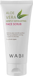Wabi Beauty Aloe Vera Creme Gesichtsreiniger 100ml Wabi Beauty Aloe Vera Creme Gesichtsreiniger 100ml