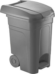 Viosarp Plastic Wheeled Waste Bin 60lt with Pedal Gray