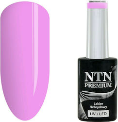NTN Premium Gel-Nagellack 175 5ml NTN Premium Gel-Nagellack 175 5ml